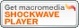 安裝Shockwave_Player!!